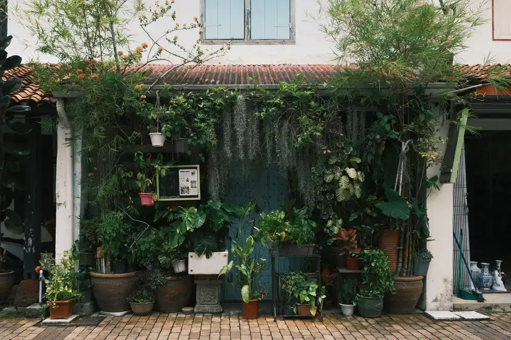 The front entrance of Bloomfield Garden Centre