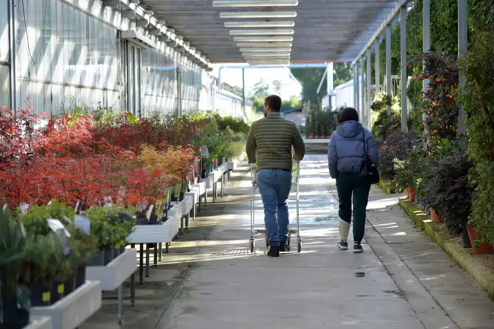 Entrance to Bloomfield Garden Centre surrounded by seasonal plants