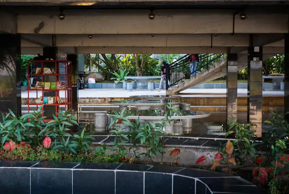 Spacious parking area near the plant displays
