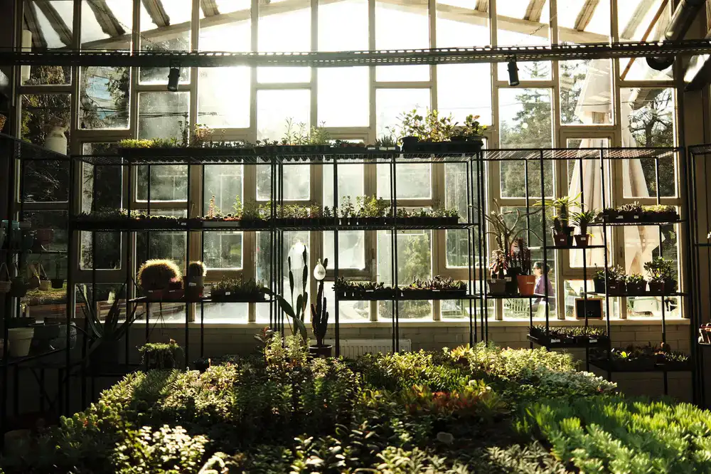 A wide view of the garden shop displaying tools and pots