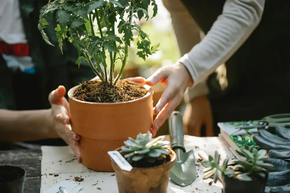 Display of gardening tools and ceramic pots